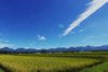 八ヶ岳全景