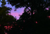 夕焼け